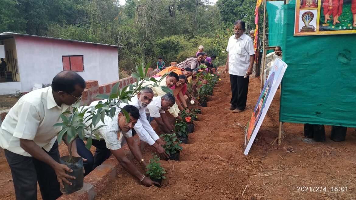 सेवानिवृत्त नायब तहसीलदार जयप्रकाश गोसावी यांच्या वाढदिवसाणानिमित्त बोर्डवे वृक्षारोपण