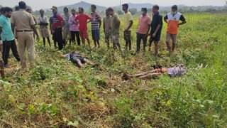 कविलकाटे-बाव परिसरात माळरानावर डुक्कराला लावलेला फसकीचा शॉक लागून पिता- पुत्राचा जागीच ठार.