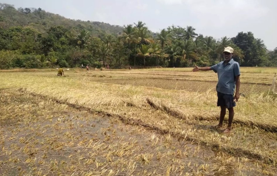 चिंदर लब्देवाडी साटम वाडी भागाला उधाणाचा फटका