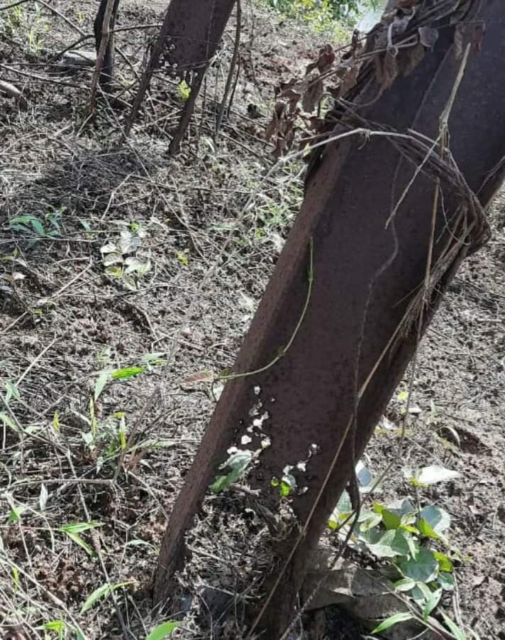 विद्युत विभागाचा घोटगे परिसरात लक्ष नाही