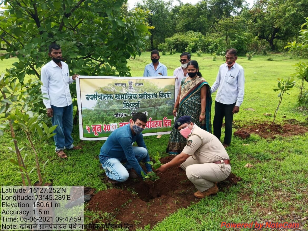 खांबाळे येथे जागतिक पर्यावरण दिनानिमित्त सामाजिक वनीकरण विभागामार्फत वृक्षारोपण
