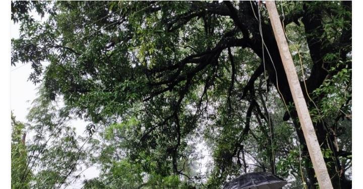 सोनाळी ( गावठणवाडी ) उजळली स्ट्रीट लाईटच्या झगमगाटाने