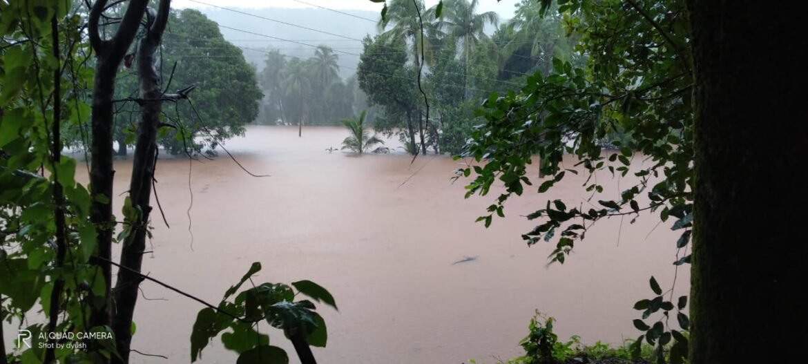 कुवळ्यात पावसाचा हाहाकार शेती गेली पाण्याखाली