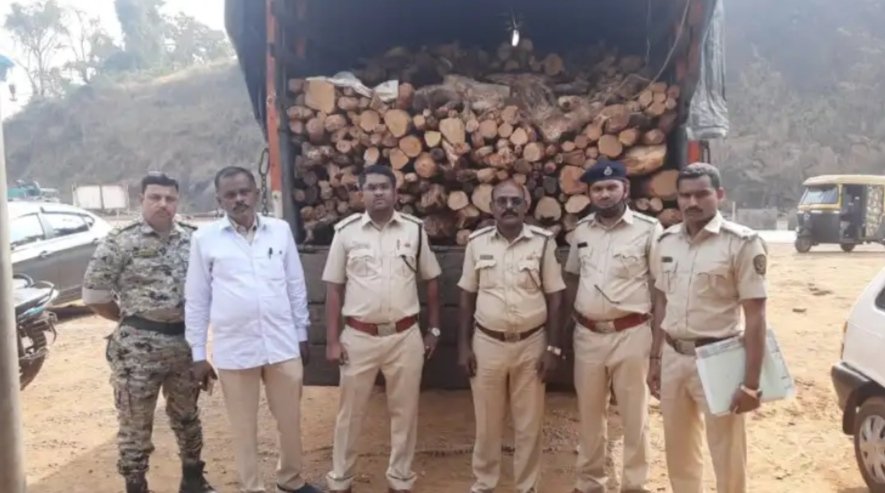 अवैध खैर लाकूड वाहतूक करणारा ट्रक वन विभागाने घेतला ताब्यात