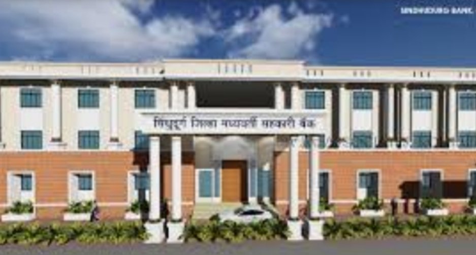 जिल्हा बँकेच्या निवडणूक प्रचारात सहभागी होणाऱ्या अधिकारी, कर्मचाऱ्यांवर होणार कारवाई