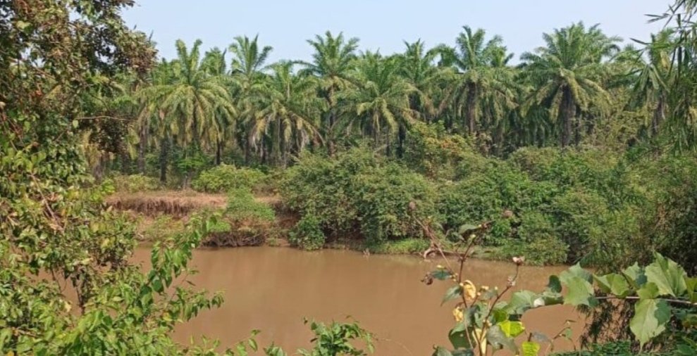 पियाळी नदीत सिलिका वॉशिंगचे गढूळ पाणी; नागरिकांचे आरोग्य धोक्यात