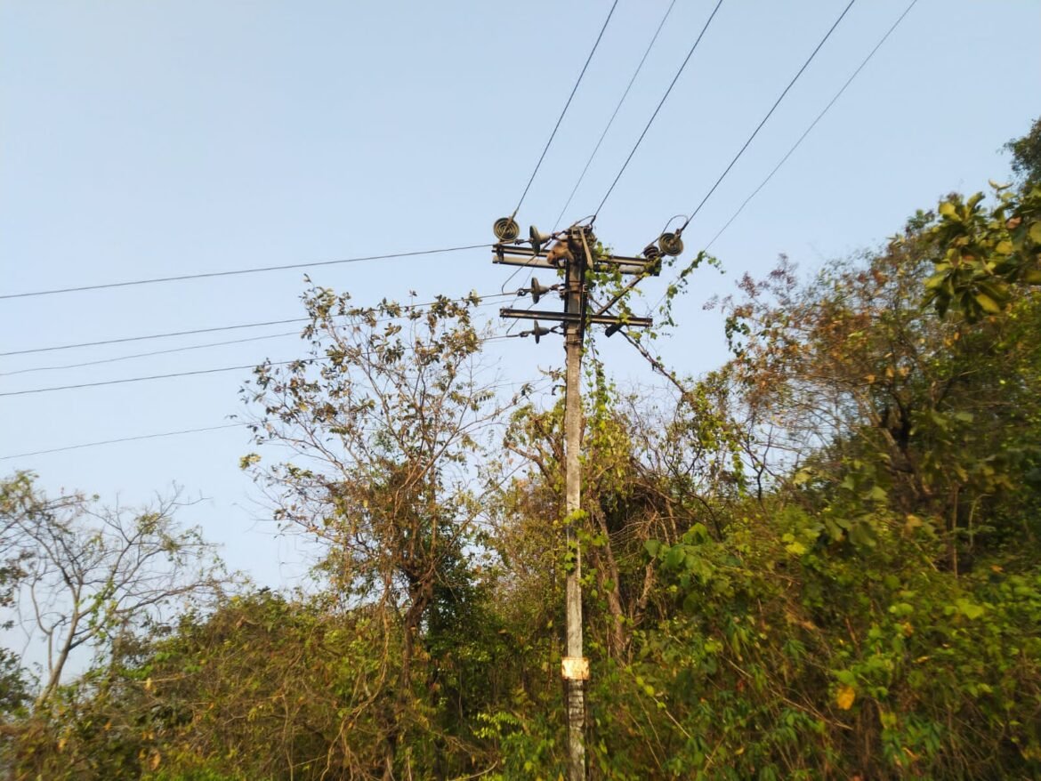 पोलवरच तारांच्या जंजाळात शाॅक लागुन वानराचा जागीच मृत्यु