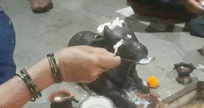 नंदी दूध पित असल्याच्या अफवांनी मंदिरांमध्ये गर्दी, अंधश्रद्धा निर्मुलन समितीने केला खुलासा
