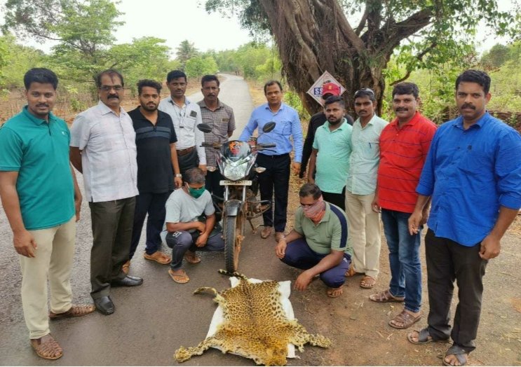 दारुम येथे बिबट्याचे कातडे घेऊन जाणाऱ्या दोघांना पोलिसांनी केले जेरबंद