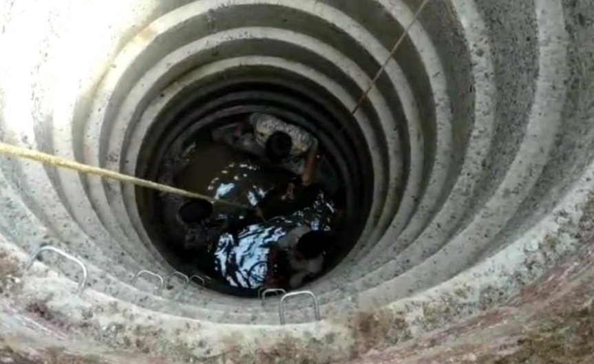 वन विभागाच्या अथक प्रयत्नानंतर,माजगाव मध्ये विहिरीत पडलेल्या गव्यांच्या पिल्लांना जीवदान