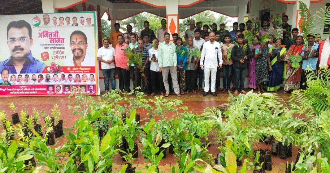 राष्ट्रवादी काँग्रेस जिल्हा अध्यक्ष अमित सामंत यांच्या वाढदिवसा निमित्त नवीन कुर्ली येथे झाडे वाटप