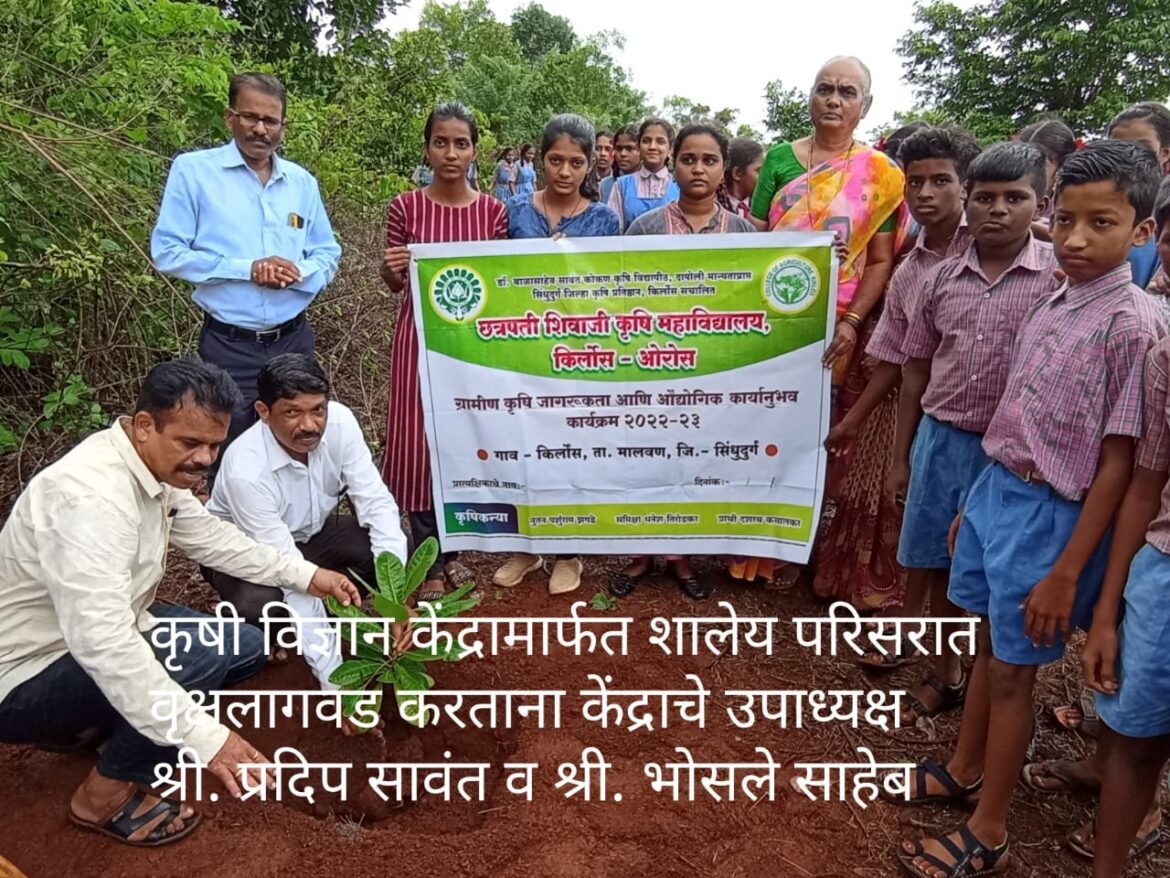 कृषीदिनानिमित्त शिरवंडे हायस्कूल येथे वृक्षारोपण संपन्न