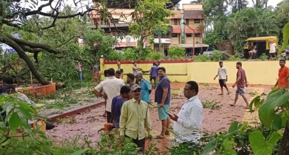 कणकवली रेल्वेस्टेशनकडील गोठणदेवच्या झाडाची फांदी पडून रस्ता बंद