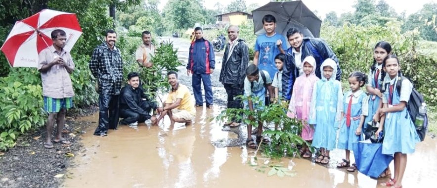 कळसुली ग्रामस्थ व राष्ट्रवादी कार्यकर्ते खड्ड्यांमुळे झाले त्रस्त ;रस्त्यातच वृक्षारोपण
