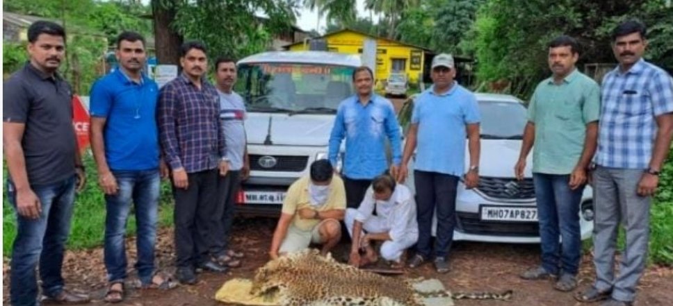 बिबट्याच्या कातडीची तस्करी करणाऱ्या दोघांना घेतले ताब्यात