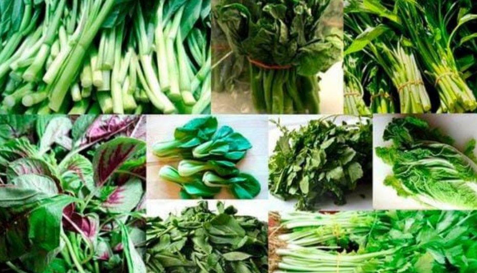 ६ ऑगस्ट रोजी रानभाज्या प्रदर्शन व रानभाज्या पाककला स्पर्धेचे आयोजन