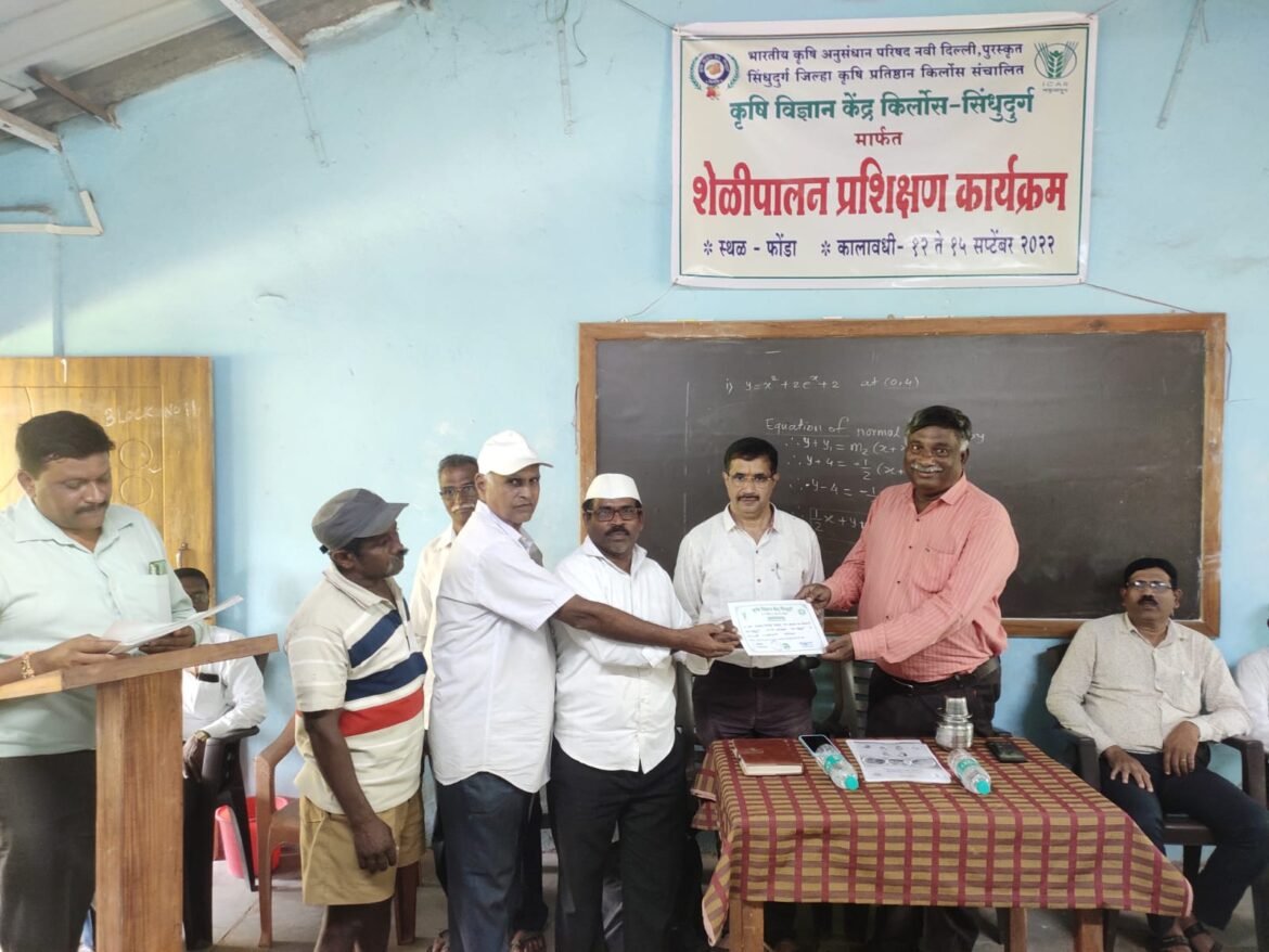 केवळ अनुदानसाठी प्रशिक्षण नकाे – सुनील देसाई