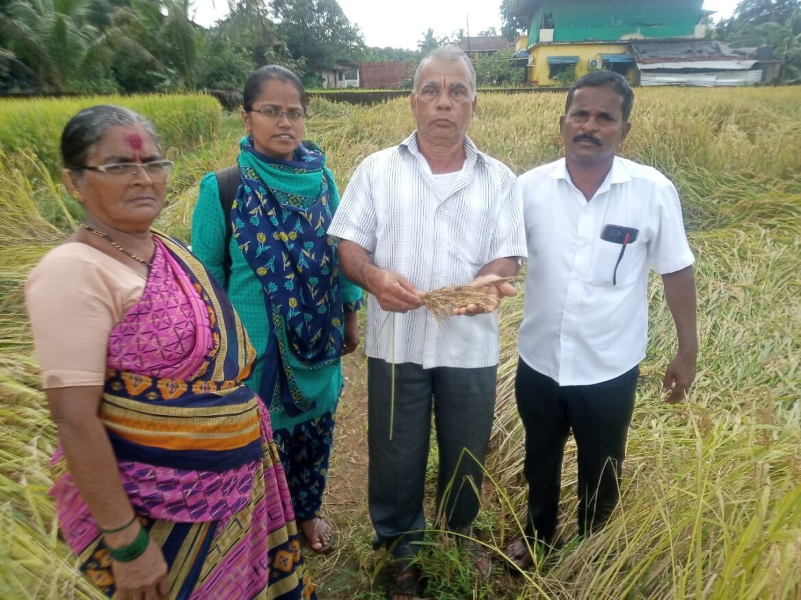 सतत पडणाऱ्या पावसामुळे शेतीचे नुकसान झालेल्या शेतकऱ्यांनी आपली नावे व मोबाईल नंबर विकास सोसायटी अथवा ग्रामपंचायत मध्ये नोंदवावी
