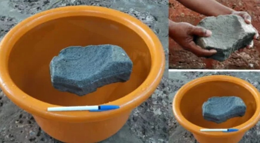 सिंधुदुर्गात सापडला पाण्यावर तरंगणारा ‘प्युमिस’ दगड