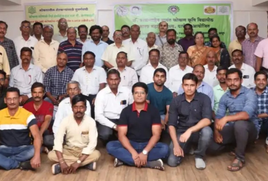 कोकणात औषधी, सुगंधी वनस्पती लागवडीची शेती फायदेशिर