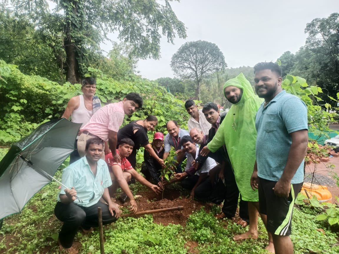 पत्रकार संरक्षण समिती सिंधुदुर्गच्या वतीने श्री देव काळोबा मंदिर, मळेवाड येथे वृक्षारोपण कार्यक्रम
