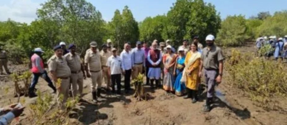 देवगड येथे कांदळवन वृक्षारोपण कार्यक्रमाचे आयोजन