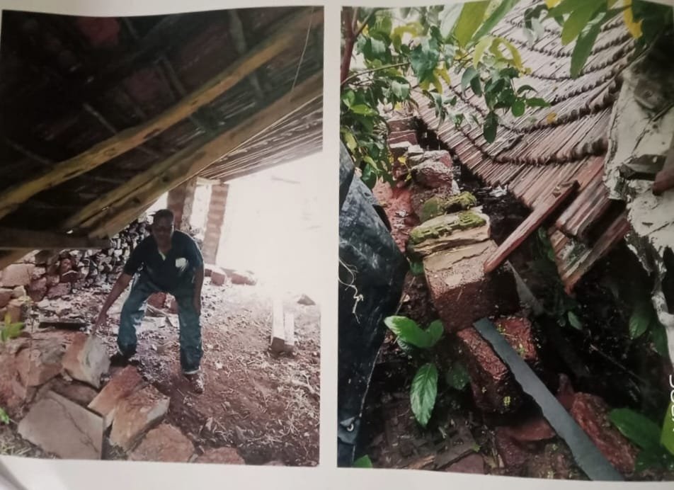 अतिवृष्टीमुळे कोंडये येथे गोठा कोसळला, तर तरंदळे कुंदेवाडी रस्त्यावर झाड कोसळले