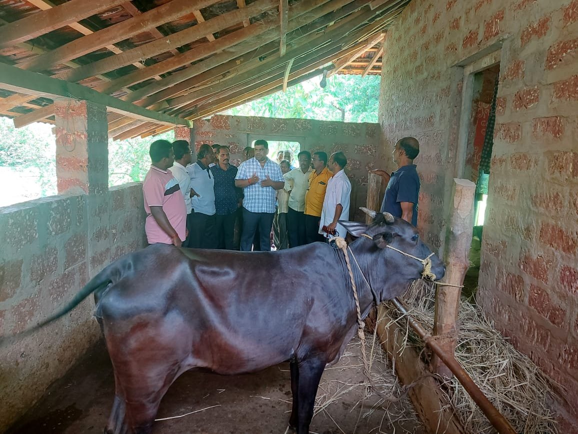 चिंदर गावातील गुरे दगावलेल्या शेतकऱ्यांची आ. वैभव नाईक यांनी घेतली भेट