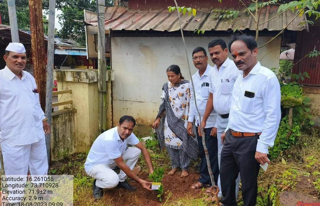 *वसुंधा वंदन उपक्रमांतर्गत कणकवली पंचायत समितीच्या वतीने परिसरात वृक्षारोपण*