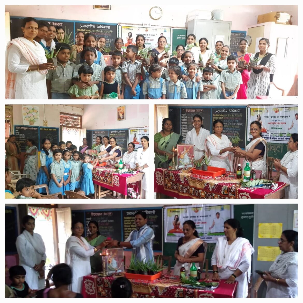 कलमठ गावडेवाडी शाळेत जडीबुटीदिन साजरा