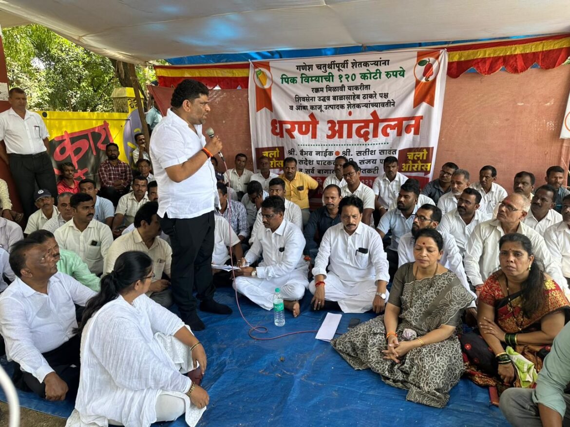 गणेश चतुर्थीपूर्वी आंबा काजू उत्पादक शेतकऱ्यांना पीक विमा रक्कम मिळालीच पाहिजे