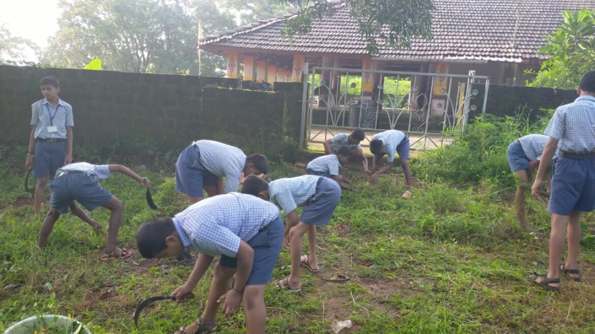 *माध्यमिक विद्यामंदिर कनेडी प्रशालेतर्फे ग्राम स्वच्छता मोहिम*