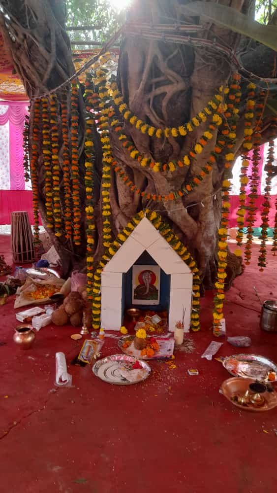 कासार्डेतील महापुरुष देवाचा गुरूवार 2 मे रोजी वार्षिक उत्सव