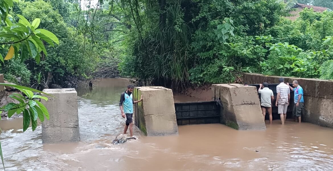 बांद्यात लोकसहभागातून बंधाऱ्याचे बांध उघडले