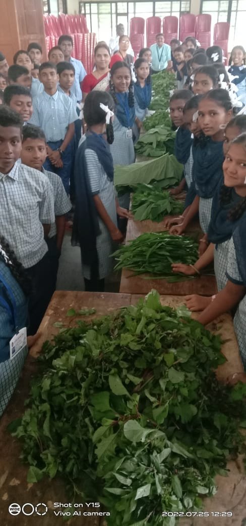 *कनेडी प्रशालेत रानभाज्या बाजार उपक्रमाला विद्यार्थ्यांचा उत्स्फूर्त सहभाग*