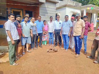 नांदगाव तोंडवली येथे सापडलेले खवले मांजर वनविभागाकडे सुपुर्द