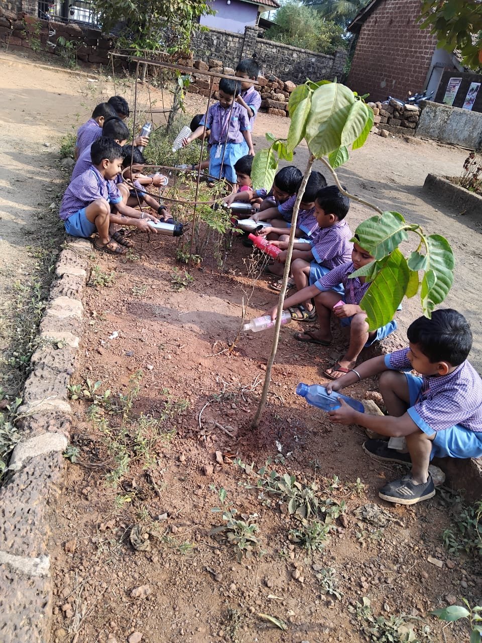 कडक ऊन्ह्याळ्यात वृक्षांना जीवदान देणारे पहिलीतील विद्यार्थी