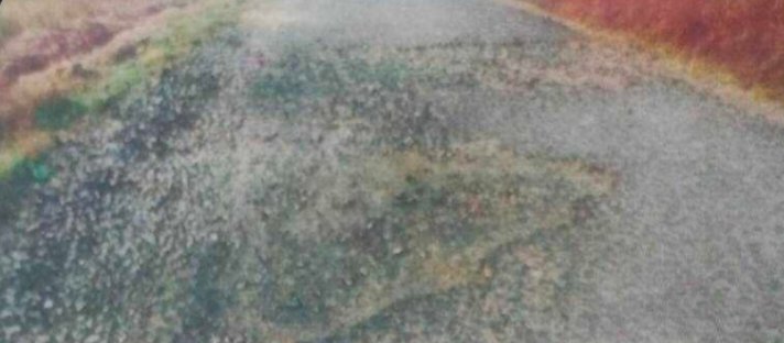 कलंबिस्त रस्ताप्रश्नी आंदोलनाचा इशारा