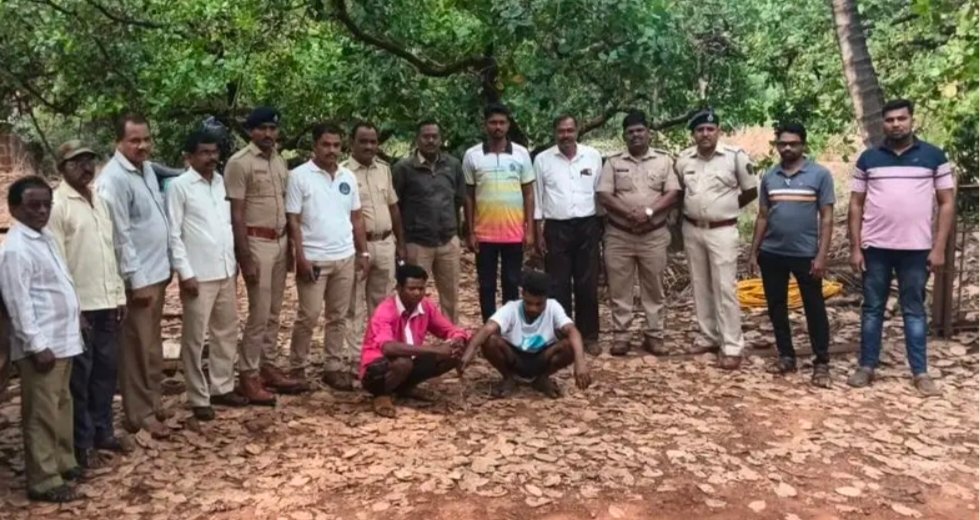 शिकारीच्या उद्देशाने लावलेल्या फासकीत वन्यप्राणी सापडल्याने आरोपींना 14 दिवसांची वन कोठडी