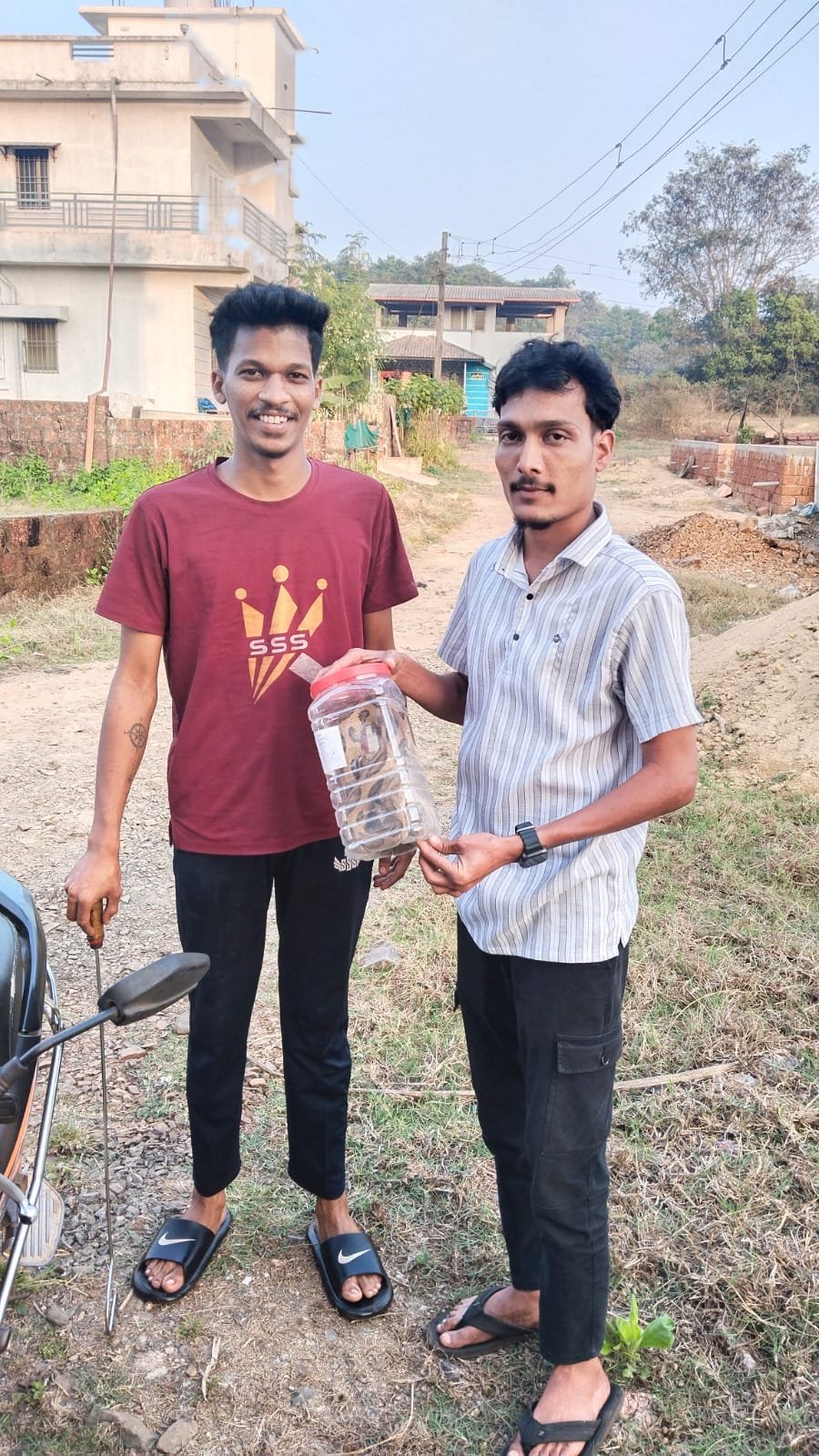 भरवस्तीत आलेल्या विषारी आग्या घोणस सर्पाला पकडून नैसर्गिक अधिवासात सोडले