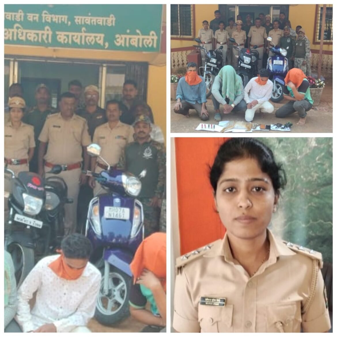 चौकूळ येथील जंगलात शिकार करणाऱ्या चार आरोर्पाना पडकडले, रेंजर प्रमिला शिंदे यांच्या मार्गदर्शनाखाली कारवाई.