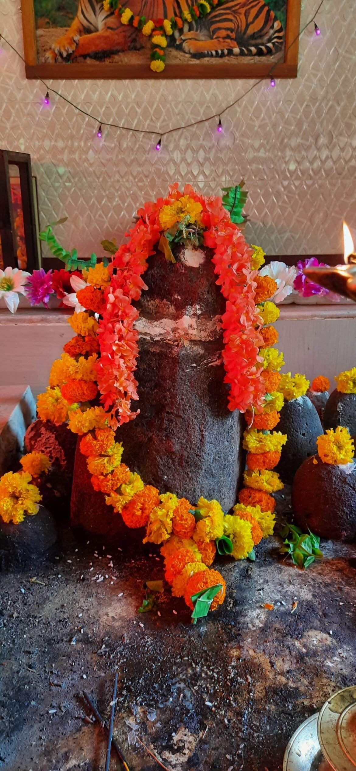 *फोंडाघाट येथील जागृत देवस्थान श्री देव वाघोबा मंदिरात शनिवारी विविध धार्मिक कार्यक्रम*