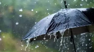 *उष्णतेची लाट आणि गारपिटीचा धोका राज्यातील 15 जिल्ह्यांना IMD कडून अलर्ट*