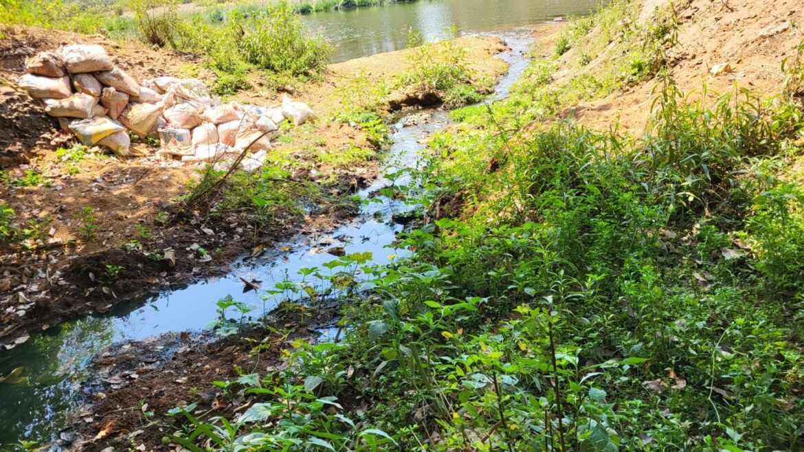 कणकवली नगरपंचायतीला दूषित पाणी नदीपात्रात न सोडण्याचे तातडीने आदेश द्यावे*