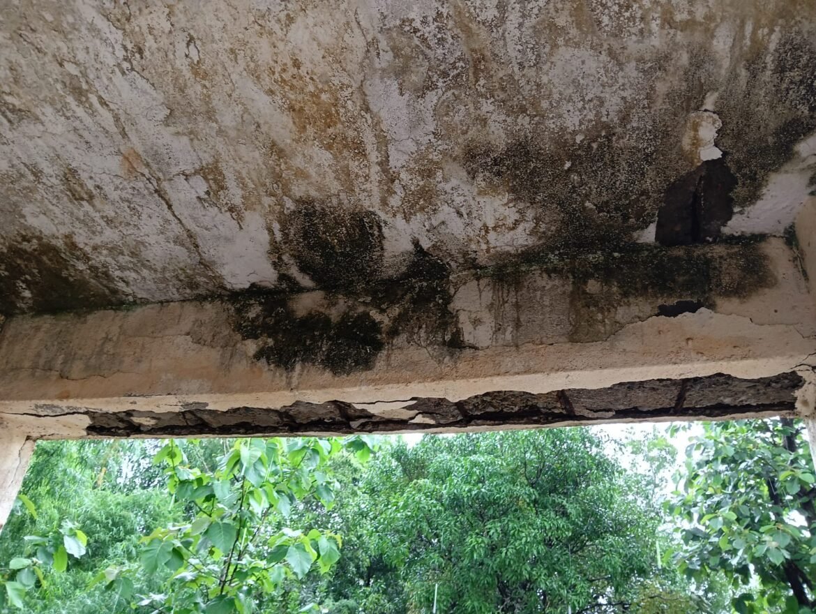 निगुडे जिल्हा परिषद पूर्ण प्राथमिक शाळा नं.२ नादुरुस्त तात्काळ दुरुस्त करा माजी उपसरपंच गुरुदास गवंडे यांची मागणी