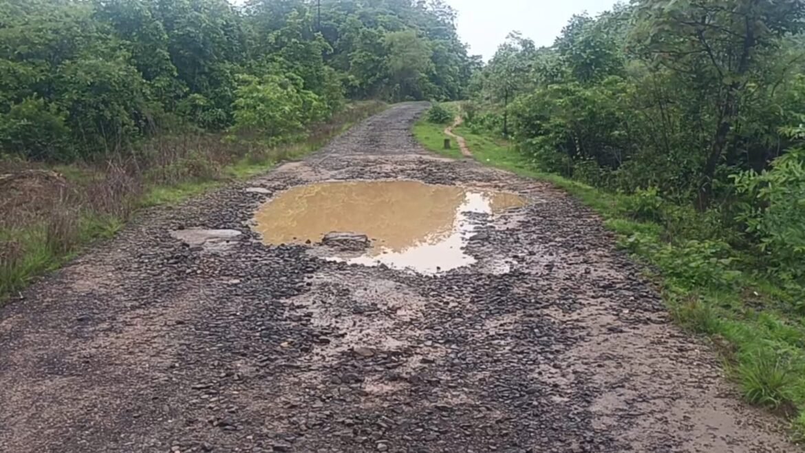 हळवल-भाकरवाडी ते शिवडाव रस्त्याची दुरवस्था