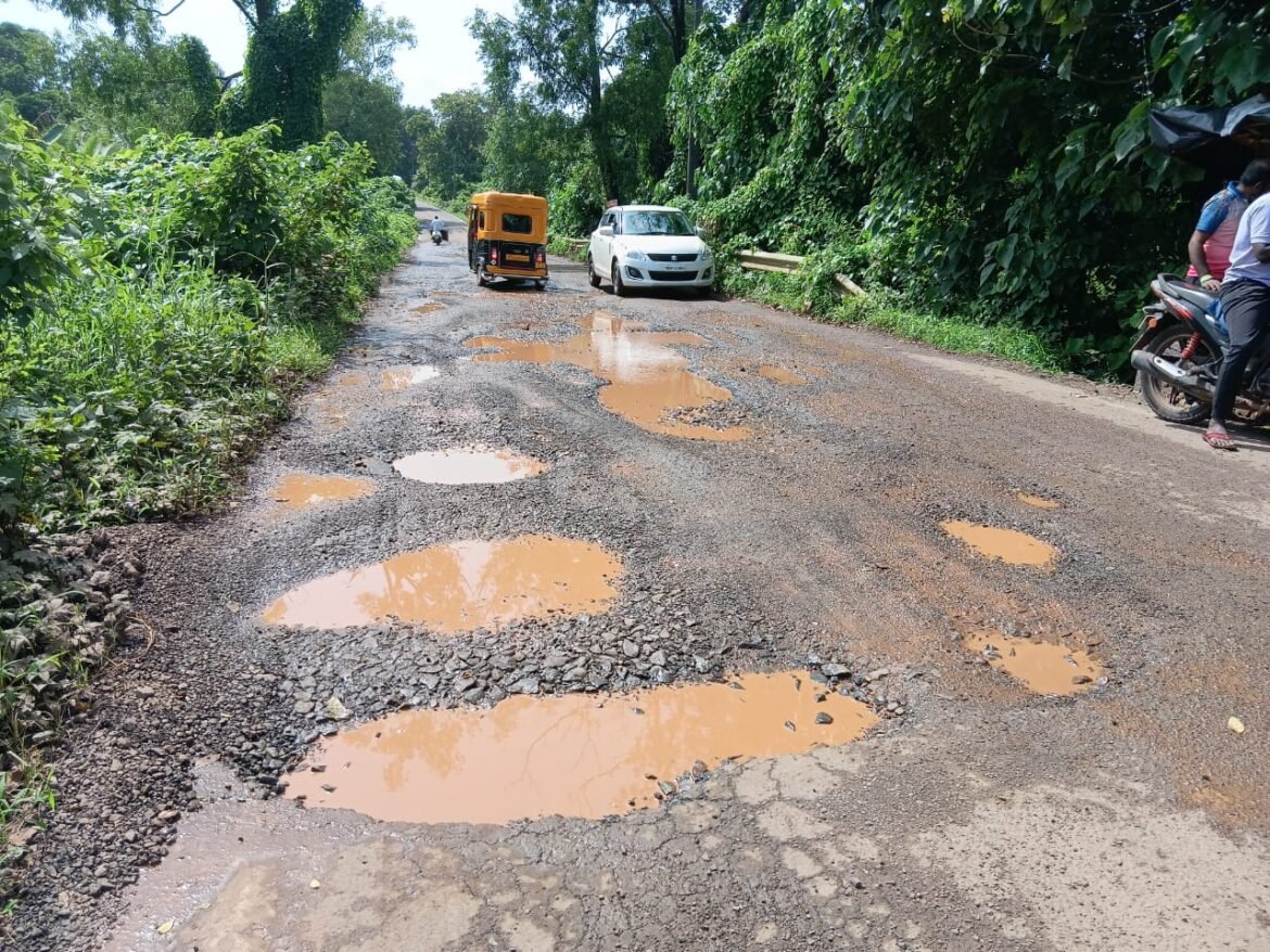धामापूर ते नेरूरपार रस्त्यावर खड्डेच खड्डे. वाहनचालक होतायत हैराण