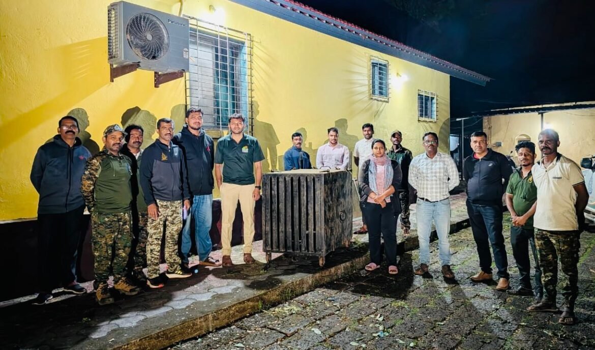 मालवणमध्ये फासकीत अडकलेला बिबट्या वाचला; वनविभागाची तत्पर कारवाई