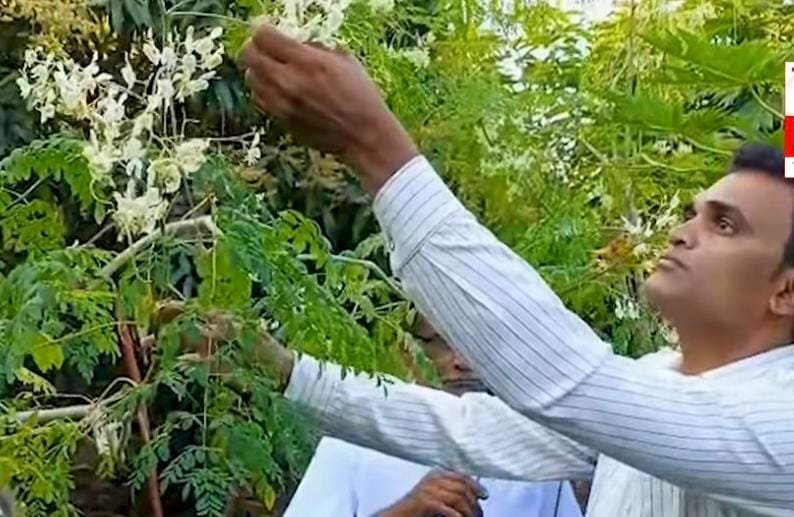 कुंभारमाठ येथील उत्तम फोंडेकर यांना लाल शेवग्याच्या वाणाला केंद्र सरकारकडून पेटंट प्राप्त