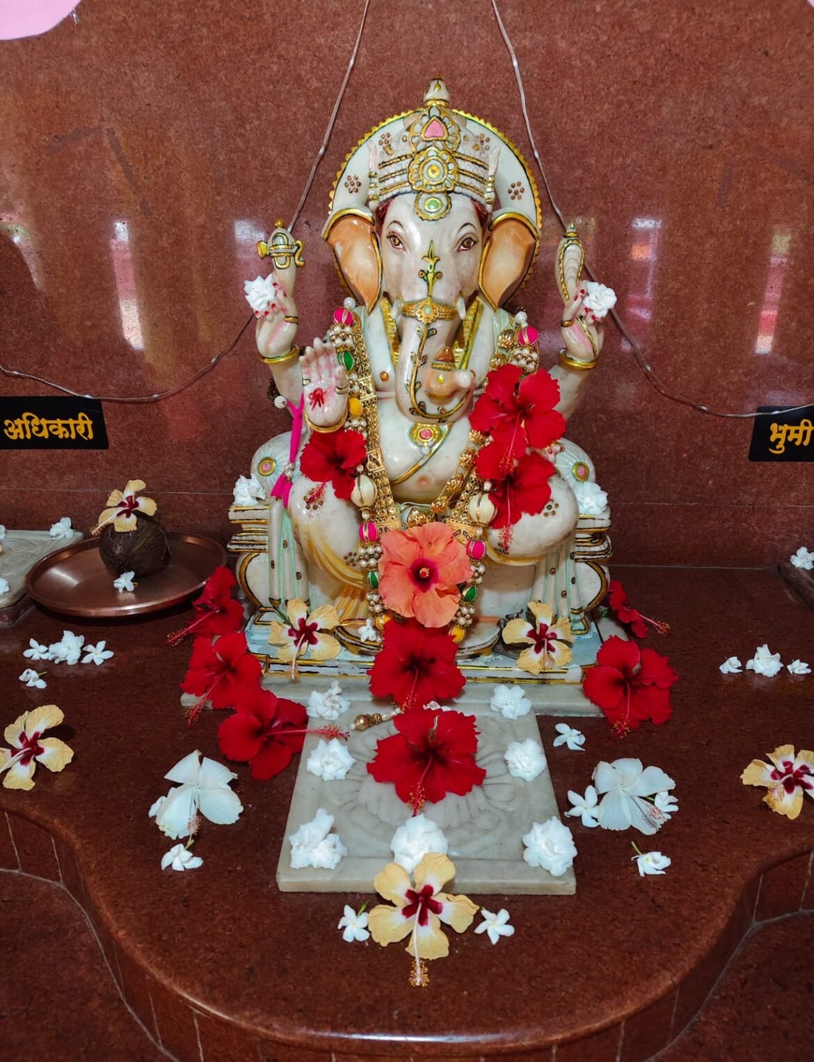 असलदे उगवतीवाडी येथे गणेश जयंती निमित्त विविध कार्यक्रम